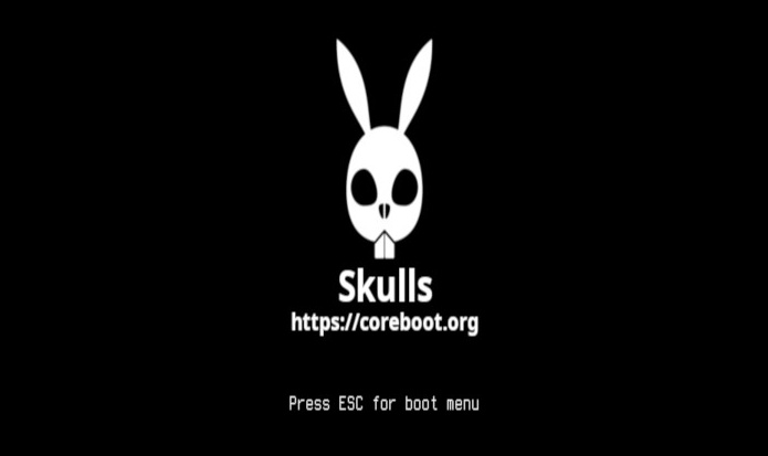 Skulls Logo